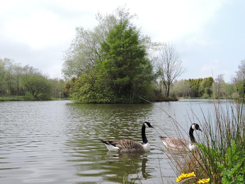 Bodmin Holiday Park Lanivet エクステリア 写真